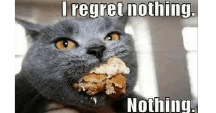 Cat meme that says "I regret nothing."