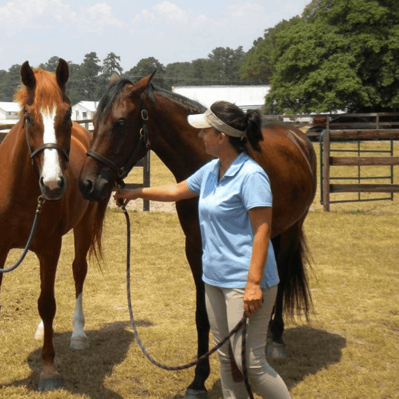 Stephanie overweight with horses