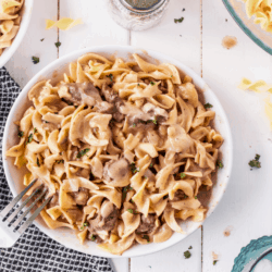 bowl of beef stroganoff with egg noodles