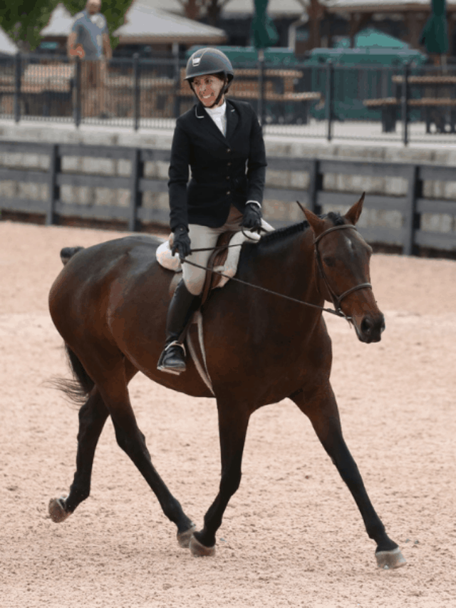 Best Whole Body Exercises for Horseback Riding (Improve your balance and more!) Story