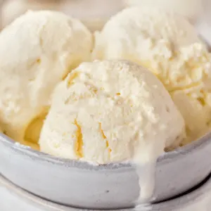 bowl of keto vanilla ice cream