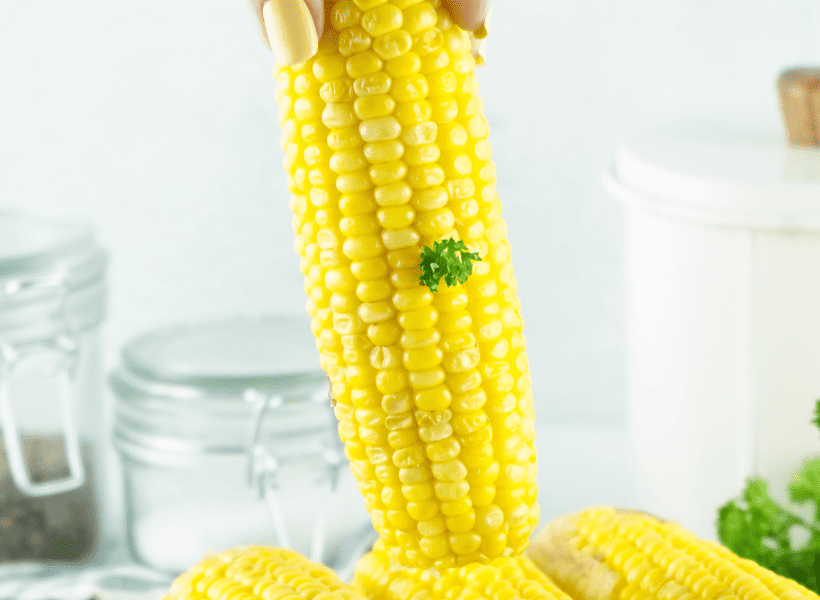 holding an ear of corn on the cob cooked in instant pot