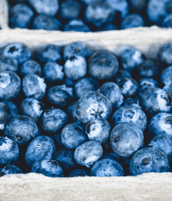 container of fresh blueberries