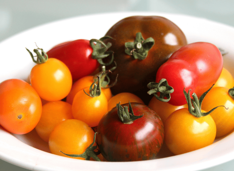 variety of tomatoes