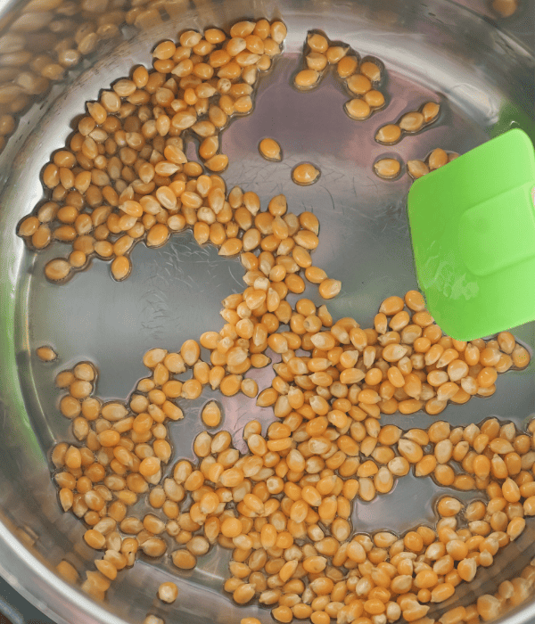 popcorn kernels in instant pot