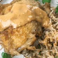 roasted dutch oven chicken with peanut sauce and rice on a plate