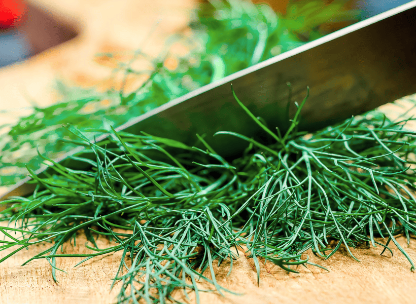 fresh dill chopped with knife on cutting board
