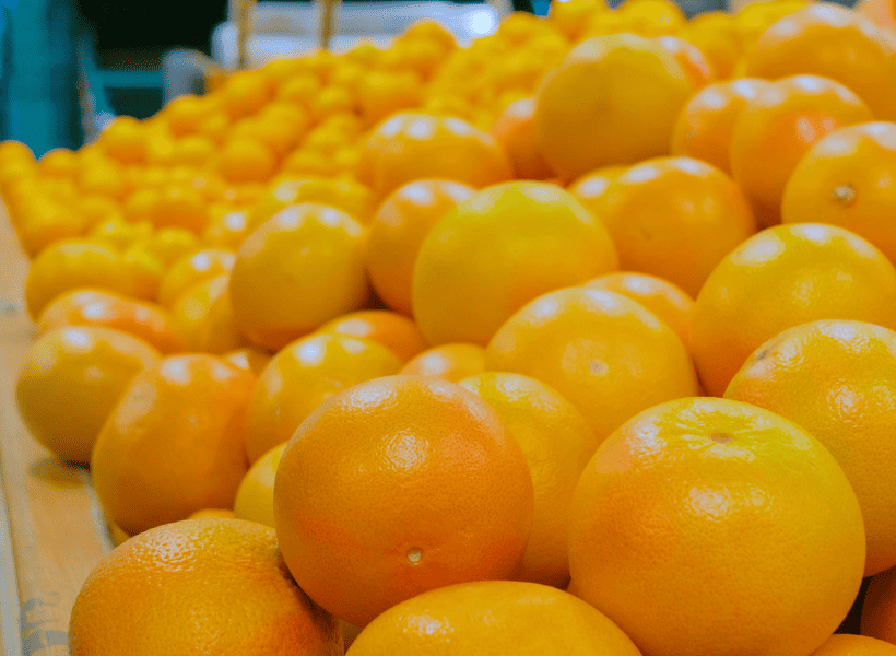 grapefruit piled high in produce department