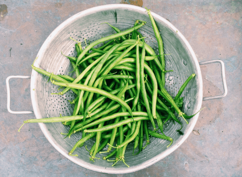 collander with fresh green beans