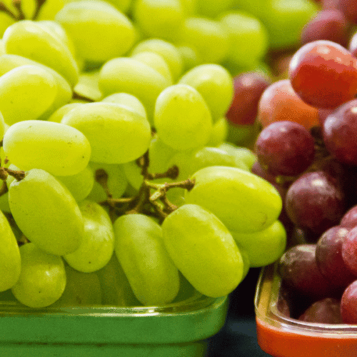 How Long Does Grape Seed Oil Last?