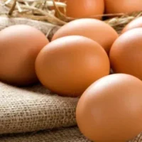 Healthy-Holistic-Living-egg-800×419