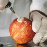 gmo-apples