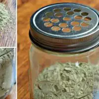 homemade-flea-powder-fb-728×380