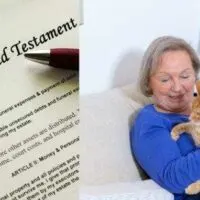 woman-planning-pet-care-in-will-728×382 (1)