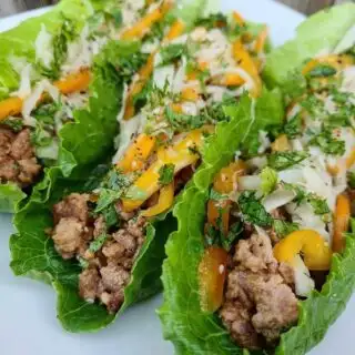 Turkey Lettuce Wraps