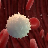 Red,And,White,Blood,Cells,In,A,Vein
