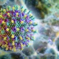Electron,Microscopy,Image,Of,Nipah,Virus.,Bat,,Primary,Host,Of