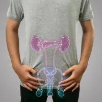 Digital,Composition,Of,Men,Internal,Reproductive,And,Urinary,System,,Healthy