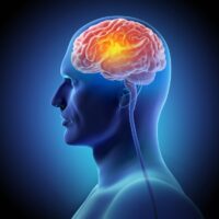 Human,Brain,Structure,And,Neuron,,Stimulation,Or,Activity,Of,Brain,