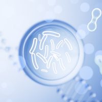 An engineered probiotic just wiped out 43% of colorectal tumors in new trial Microscopic,Probiotics,Bacteria,For,Digestive,Health,And,Treatment.,3d,Rendering.