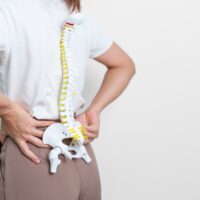 Woman,With,Human,Spine,Anatomy,Model.,Spinal,Cord,Disorder,And